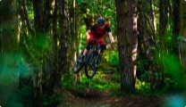 Discover more MTB